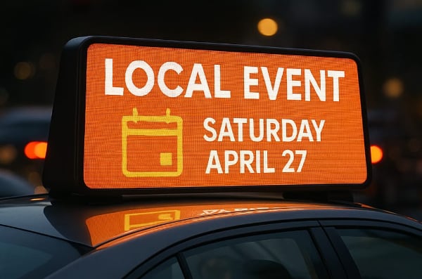 A close-up photo of a very expressive Scottish Fold cat being held securely in a person's hands. The cat has large, round eyes, and the focus is on the animal and the caring hands holding it.